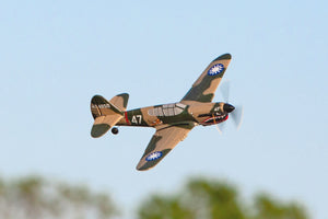 Curtiss P-40 Warhawk Micro RTF Airplane w/PASS System