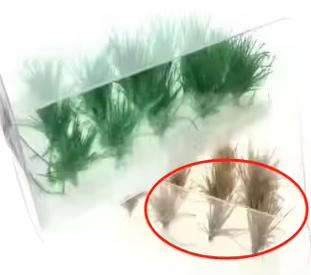 Long Grass Tufts/Shrubs 30MM - Assorted Colors