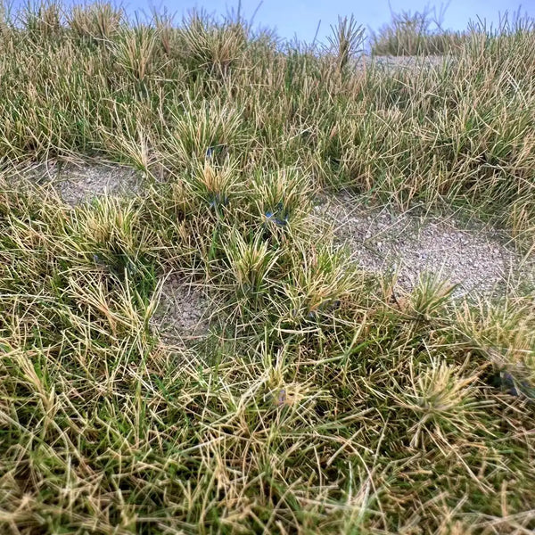 Static Grass Flock 6-8mm - Assorted Colors