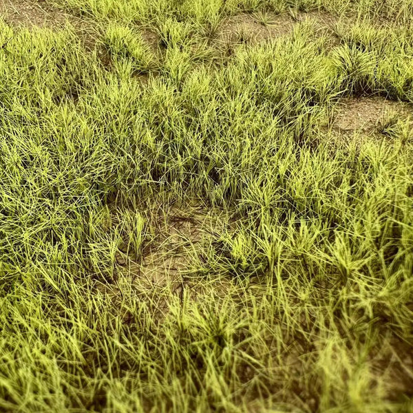 Static Grass Flock 6-8mm - Assorted Colors