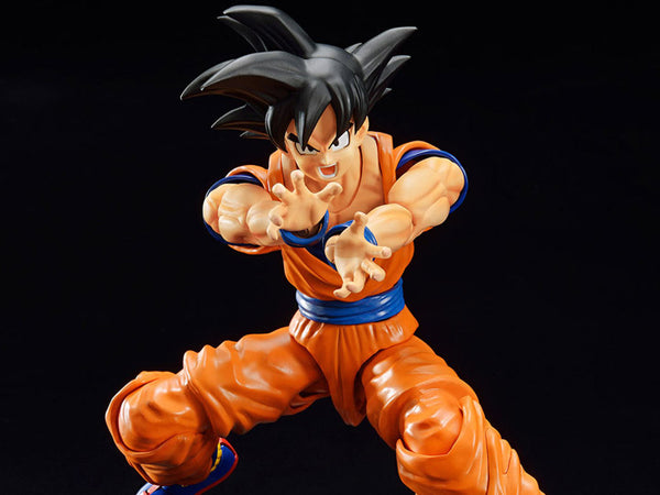 Son Goku (New Spec ver.) "Dragon Ball Z", Bandai