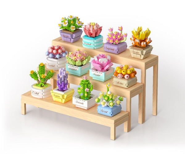 KOCO Succulent potted plants - 1Pcs Assorted