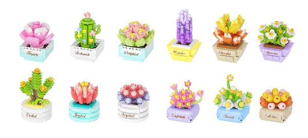 KOCO Succulent potted plants - 1Pcs Assorted