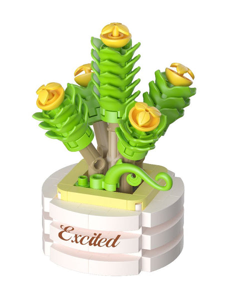 KOCO Succulent potted plants - 1Pcs Assorted