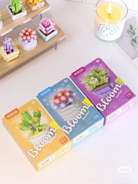 KOCO Succulent potted plants - 1Pcs Assorted