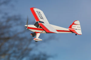 Taylorcraft Golden Age Micro RTF Airplane