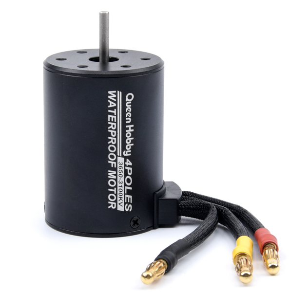 Queen Hobby 4 Pole 3100Kv Brushless Motor